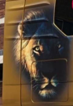 Dekorset Lion Face bunt links FN, FM